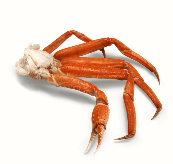 Snow Crab - cooked - cluster