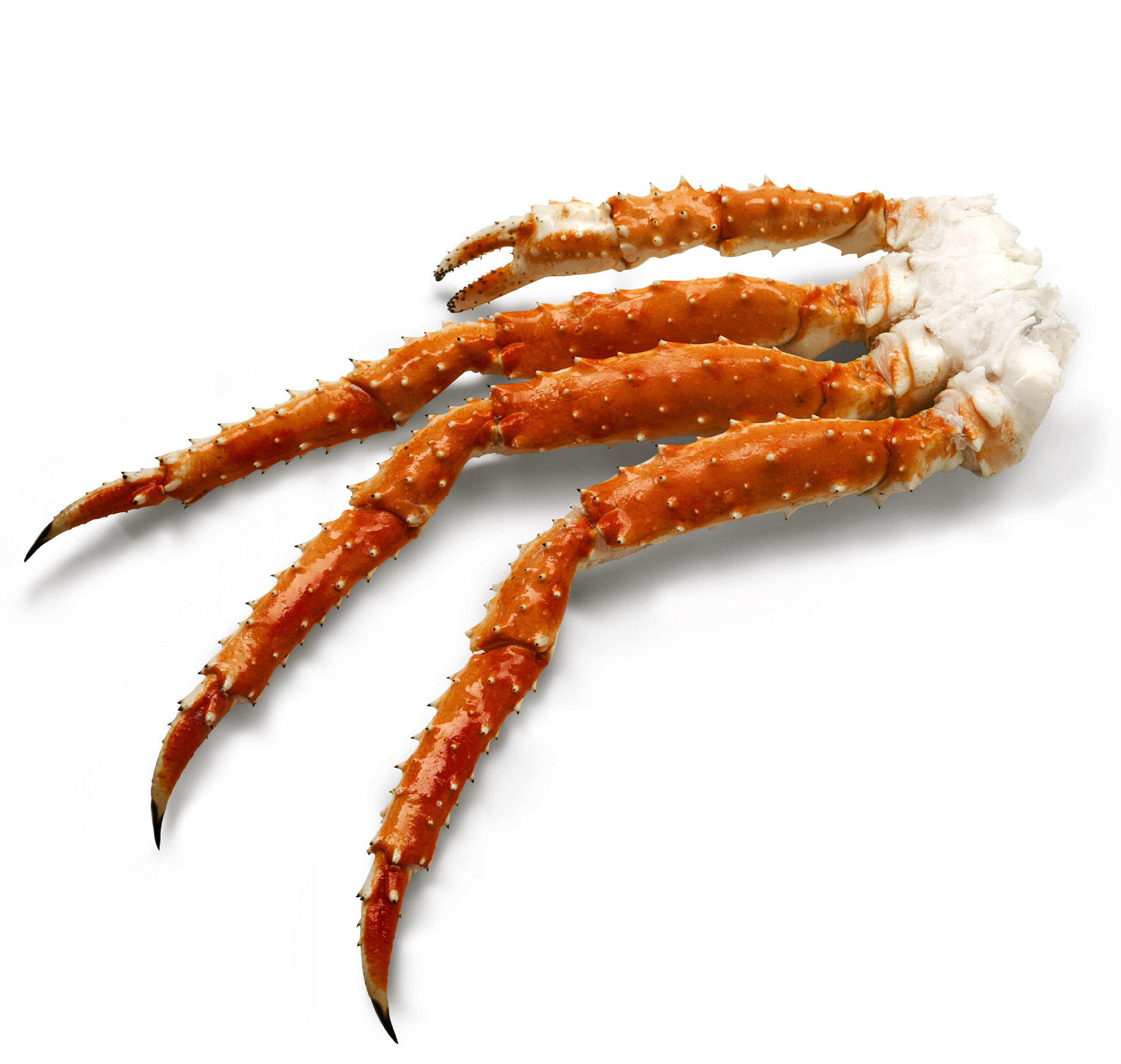 King Crab - cooked - cluster