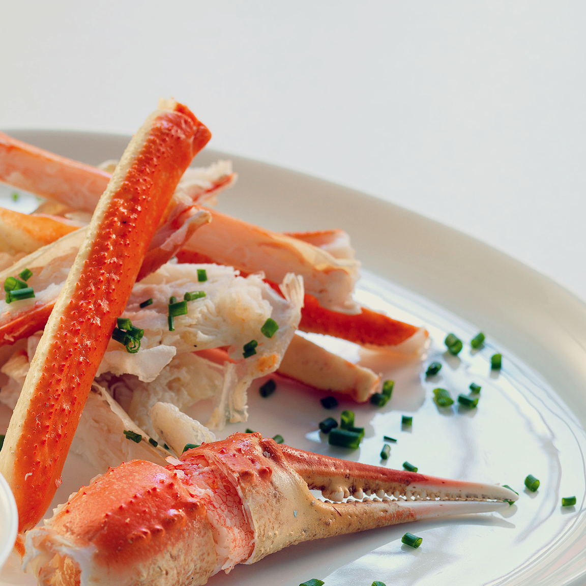Snow crab - a sought-after delicacy